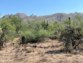 4800 N Vista de Loma Segunda Unit 6, Tanque Verde, AZ 85749