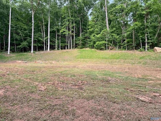 LOTS 82 AND 83 Wyeth Dr, Guntersville, AL 35976