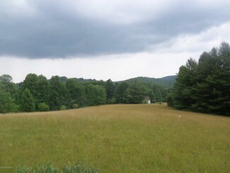 192 Parkway Church Rd SW, Meadows of Dan, VA 24120