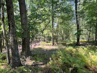 00 Old Route 36 Lot Unit WP001, Pleasantville, PA 16341