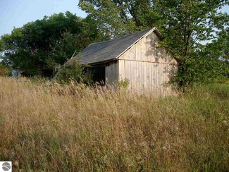 8185 Lenz Rd, Kaleva, MI 49645