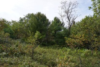 ON Zachs Ln Unit Lot 5, Conover, WI 54519