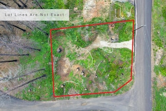 5136 Evergreen, Grizzly Flats, CA 95636