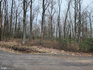 0 Chamonix Ln, North Union Township, PA 17985