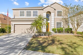 723 June Lake Ln, Brandon, FL 33510