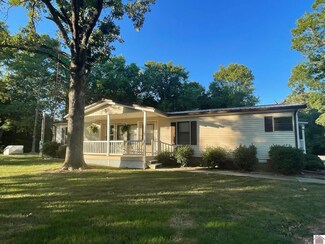 94 Lakeview Cabins Dr, New Concord, KY 42076