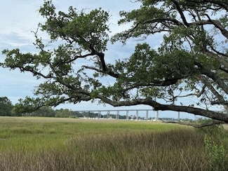 1544 Wando View St, Charleston, SC 29492