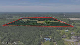 1426 U S 231, Brundidge, AL 36010