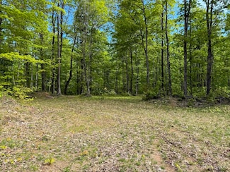 TBD Michigan 26, Painesdale, MI 49955