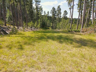 TBD Wasp Rd Unit Tract 1 Jim Put Lode, Lead, SD 57754