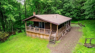 3847 Cash Hill Rd, MacHias, NY 14101