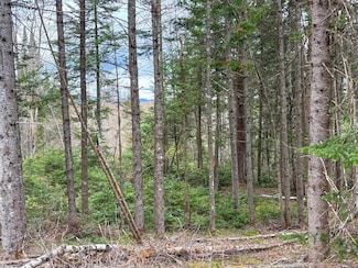 0 Atwood Rd Unit 4995675, Brighton, VT 05846