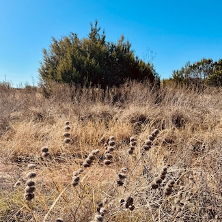 1093 Preston Valley Trail, Glen Rose, TX 76043