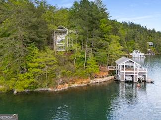 1006 Perrin Cove Rd, Tiger, GA 30576