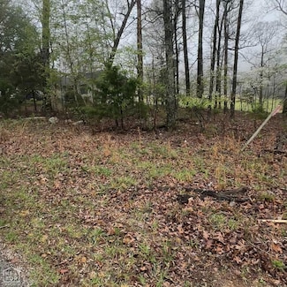 0 Oho Dr, Cherokee Village, AR 72529