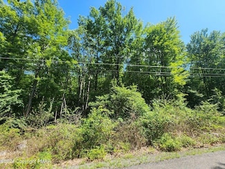 442 Cypress Dr, Penn Forest Township, PA 18229