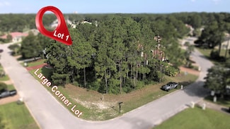 Lot 1 Indigo Loop, Miramar Beach, FL 32550