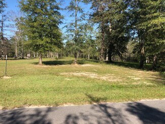 Nhn Carl Taylor Rd, Wiggins, MS 39577