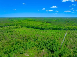 361 Sweet St Unit Lot 6, Rembert, SC 29128