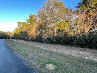 28921 Mustang Dr, Waller, TX 77484