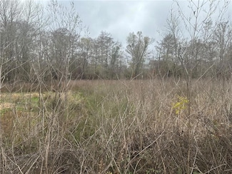 0 River Ln Unit 2479445, Mansura, LA 71351