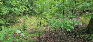 0 Deer Run Rd Unit RTC2683315, Altamont, TN 37301