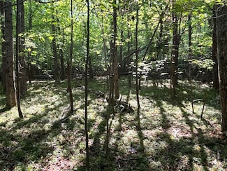00 Old Ballpark Rd Unit LotWP001, Spindale, NC 28160