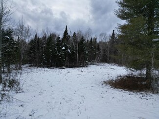 241 Pickle Ridge Rd, Webster Plantation, ME 04487