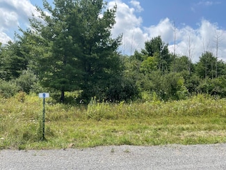 Lot 9A Hemlock Hill Rd, Towanda Township, PA 18848