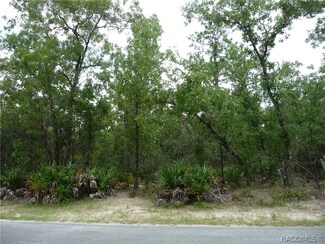 41 Sweetgum Ct N, Homosassa, FL 34446