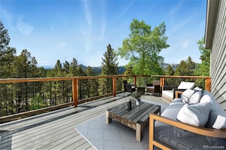 33 Nova Cir, Pine, CO 80470