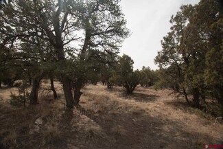 0 White Tail Unit 744275, Arboles, CO 81121