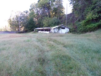 1488 Lithia Rd, Buchanan, VA 24066