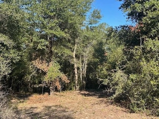 0 Newman Rd Unit 25537843, Mobile, AL 36695