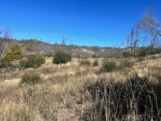 0 Craig Access Unit OR25251686, Feather Falls, CA 95966