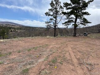 Lot 291 Dany Place, Fort Garland, CO 81133