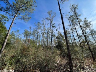 0 Whitehouse Fork Rd Unit 351875, Bay Minette, AL 36507