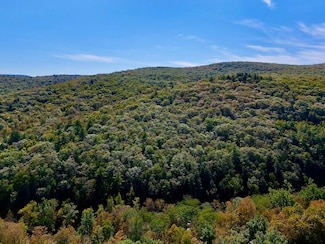 0 Vl 0 Rt 52 Unit LotWP001, Ellenville, NY 12428