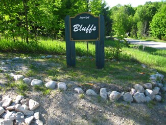 Lot 26 S Sugar Loaf Mountain Rd Unit 26, Cedar, MI 49621