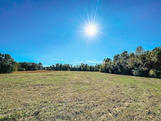 0 Tbd Lizzie Ct Unit LotWP001, Lake View, SC 29536