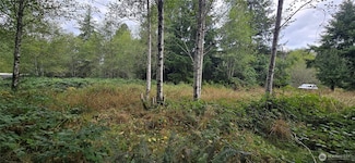 1351 Satsop Rd W, Montesano, WA 98563