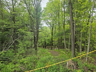 2049 New York 245, Naples, NY 14512