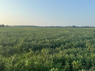 000 Ferda Rd Unit LotWP001, England, AR 72046