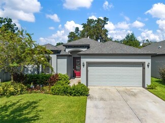 157 Elina Sky Dr, Seffner, FL 33584
