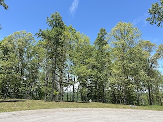 460 Volunteer St, Jasper, TN 37374