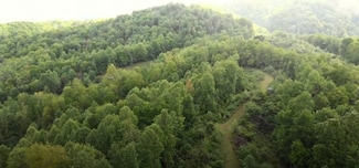 Tbd Edith Gouge Rd Unit LotWP001, Unicoi, TN 37692