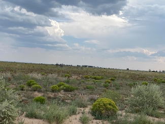 0 Marshall Lots 6a & 6b Rd Unit 1073239, Estancia, NM 87016