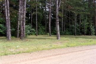 485 Evergreen Ct, Farwell, MI 48622