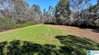 200 Kelly Creek Rd, Vincent, AL 35178