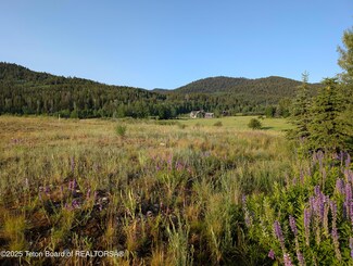 57 Warm Creek Ln, Victor, ID 83455